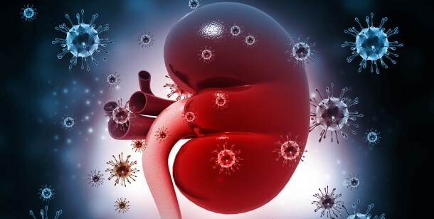 نفریت یا عفونت کلیه چیست